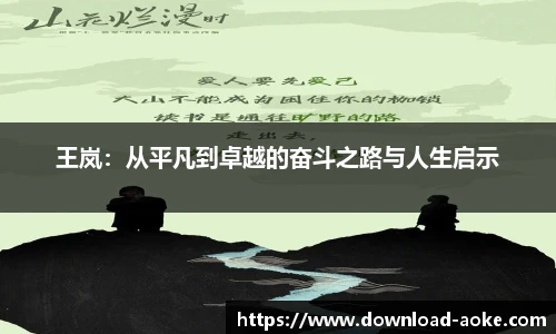 王岚：从平凡到卓越的奋斗之路与人生启示